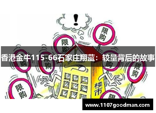 香港金牛115-66石家庄翔蓝：较量背后的故事